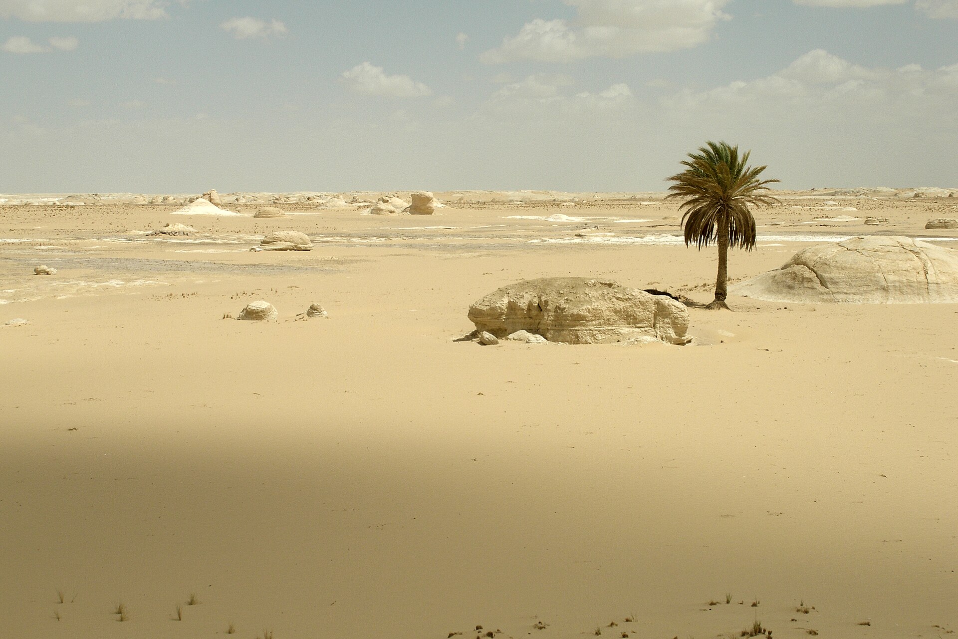 10 Days Egypt itinerary Fayoum and Nile cruise — photo 3