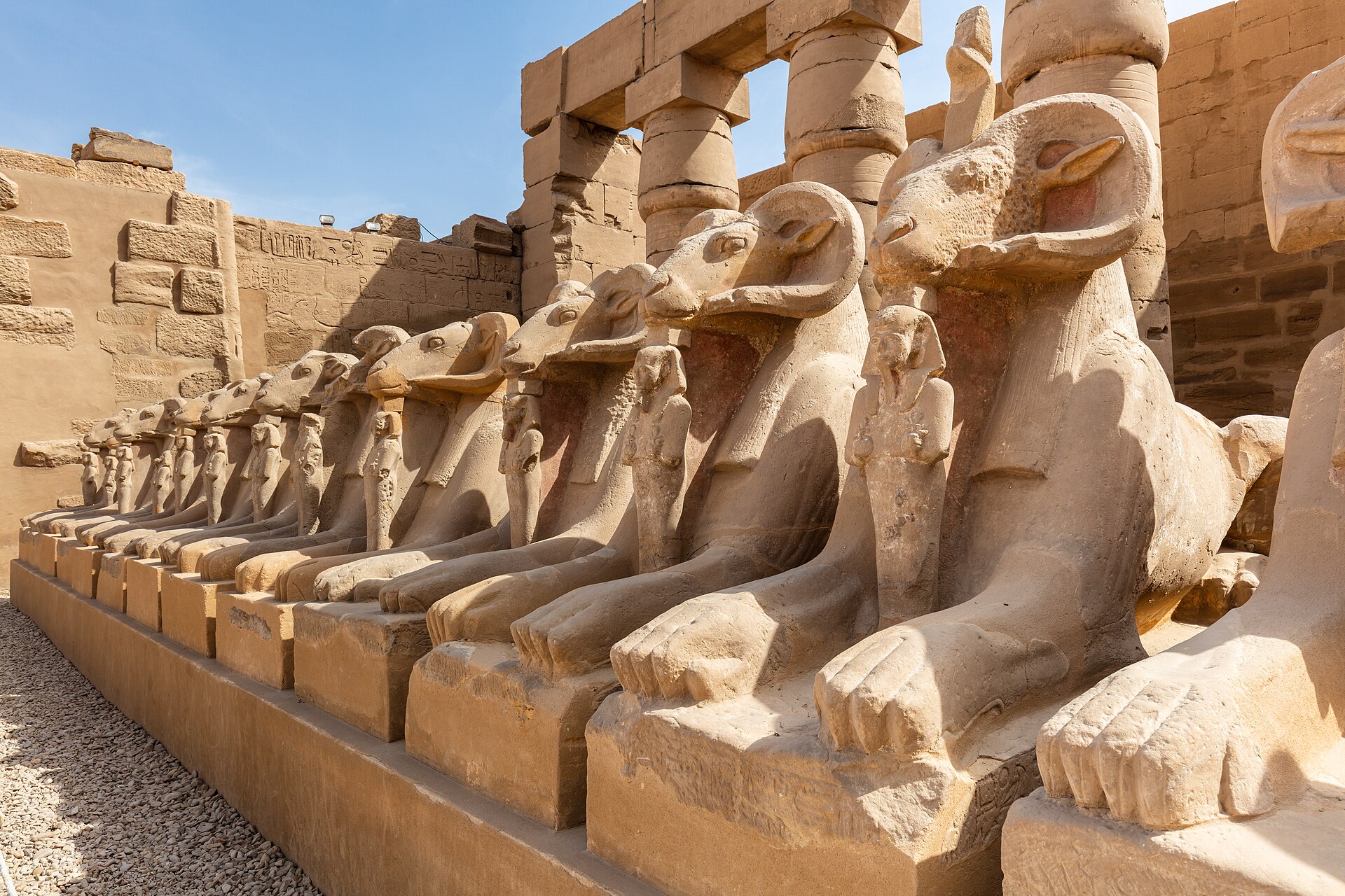 14 day tour Package Cairo Aswan Luxor and Hurghada — photo 5