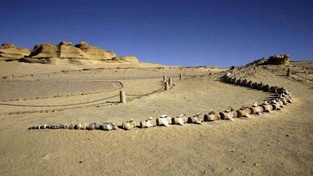2 Day Camping trip in Fayoum from Cairo — photo 6