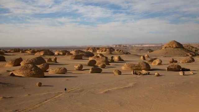2 Day trip Fayoum oasis and Wadi el Hitan from Sahel Hashesh — photo 7