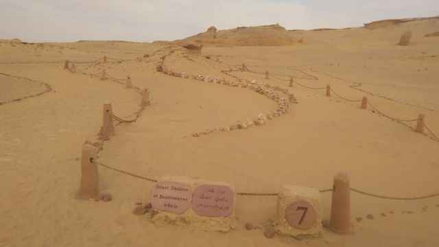 2 Day trip Fayoum oasis and Wadi el Hitan from Sahel Hashesh — photo 9