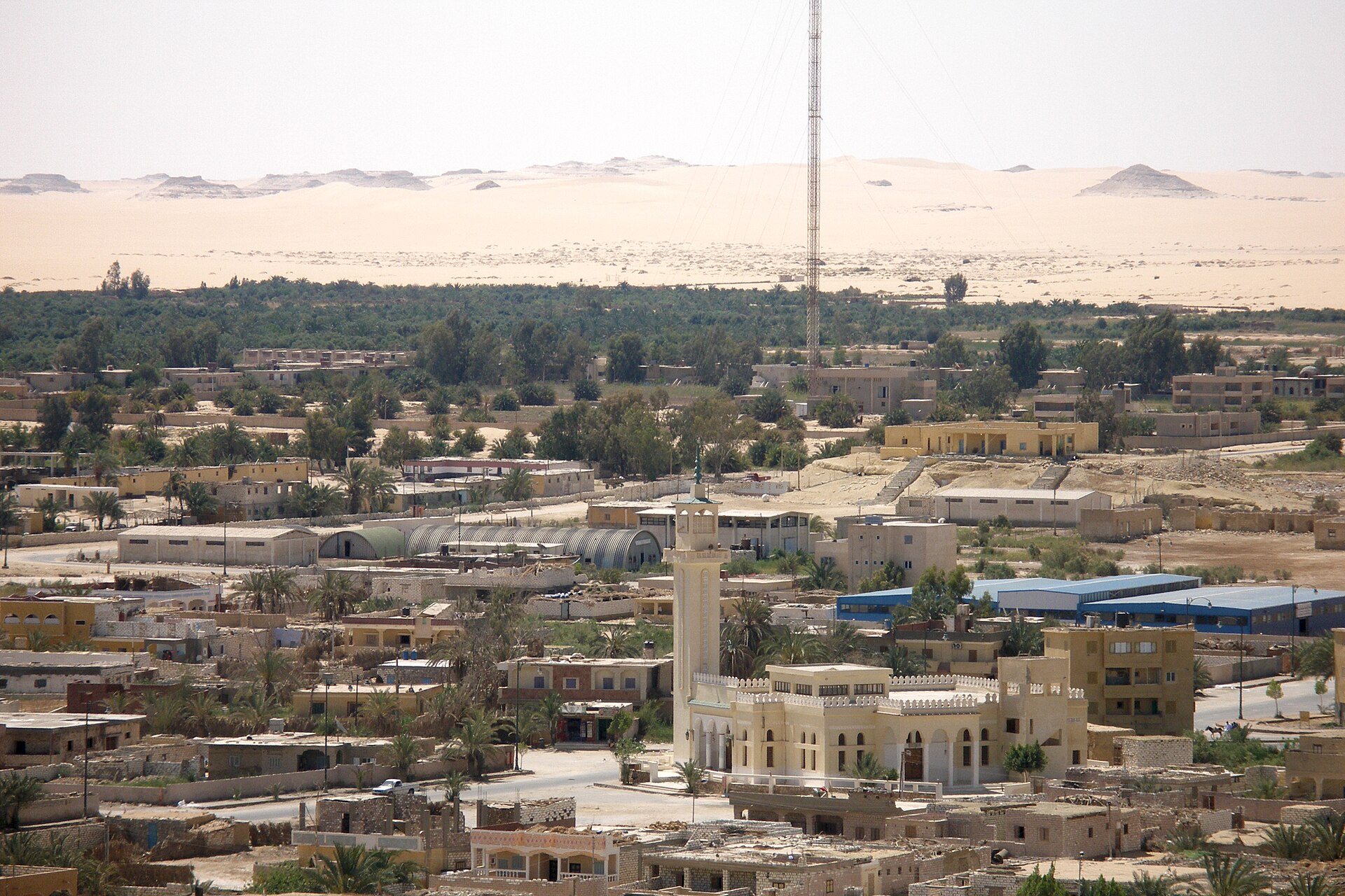 3 day white desert wadi el hitan safari from hurghada — photo 3