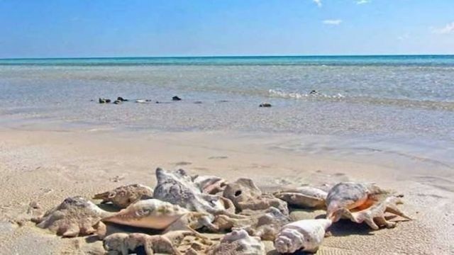 3 Days itinerary Marsa Alam from Sahel Hashesh — photo 9