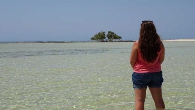 3 Days itinerary Marsa Alam from Sahel Hashesh — photo 10