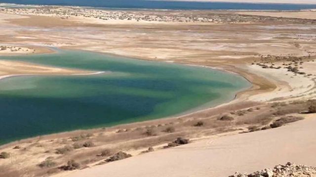 3 Days trip wadi el Hitan and Fayoum Oasis from Cairo — photo 5