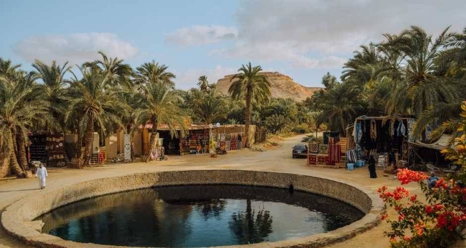 4 Day trip to Alexandria and Siwa oasis from Cairo — photo 4
