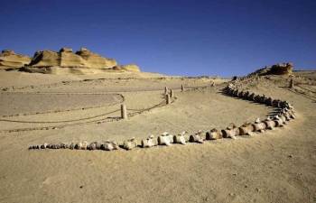 4 Days Nile Cruise From Aswan on blue shadow Nile cruise — photo 9