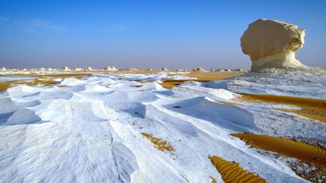 4 Days trip to the white desert and wadi el Hitan — photo 3