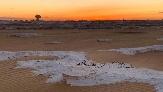 4 Days trip to the white desert and wadi el Hitan — photo 6
