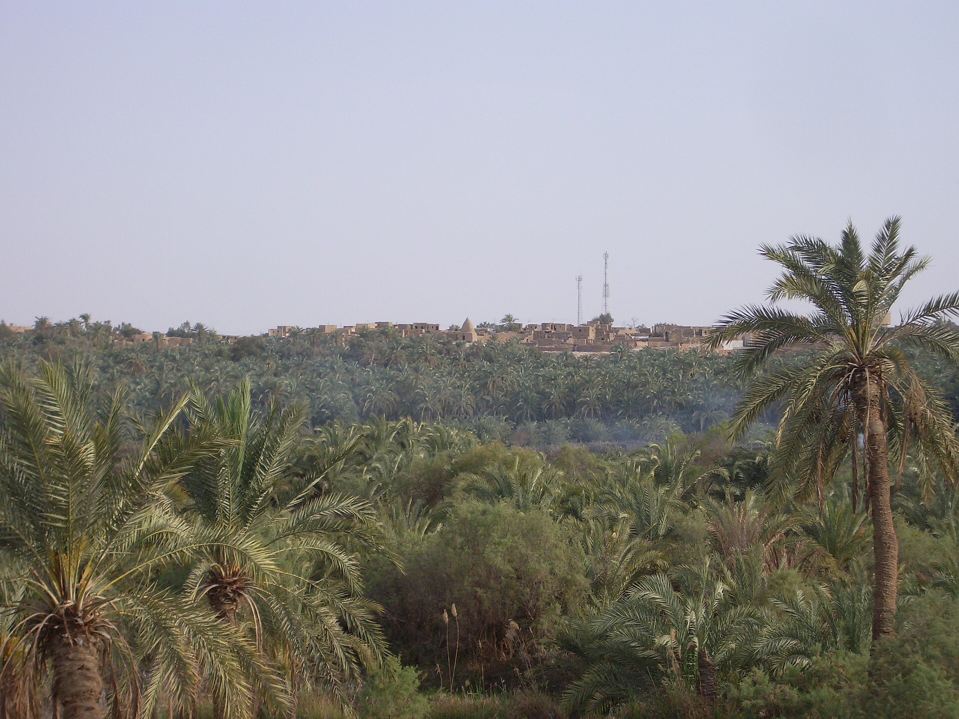 7 Day tour Package Cairo Alexandria and Siwa from Cairo — photo 6
