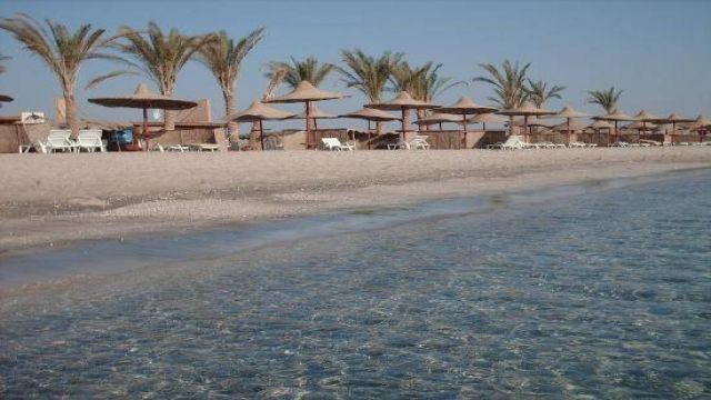 abu dabbab dugong bay Med Red Sea