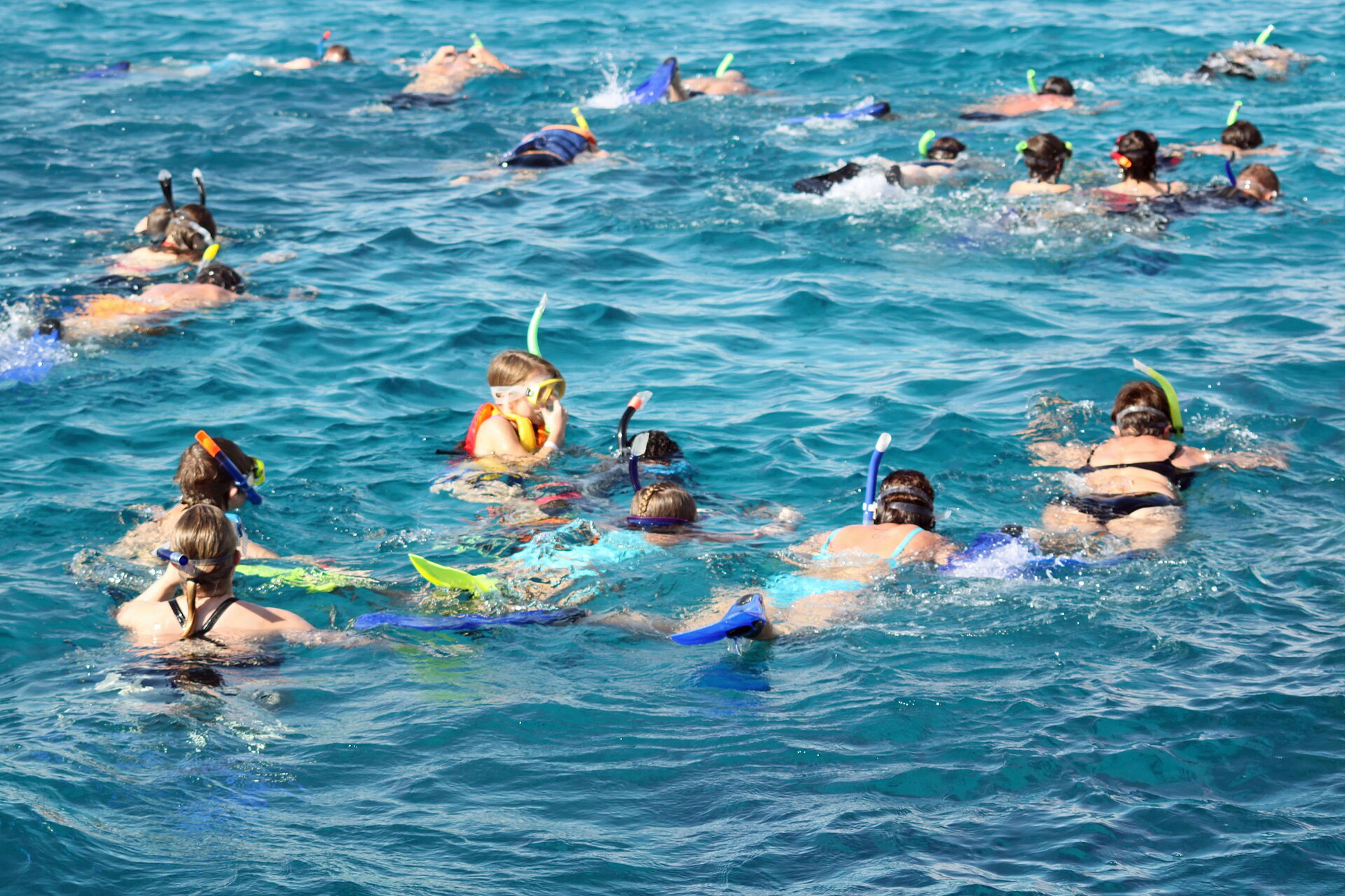 abu dabbab dugong bay Med Red Sea — photo 6