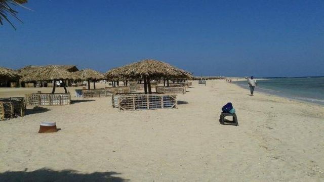 Abu Dabbab Dugong bay Snorkeling tour from Marsa Alam — photo 2