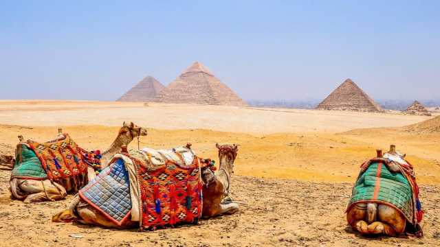 Day Tour To Pyramids Of Giza and Egyptian Museum — photo 8