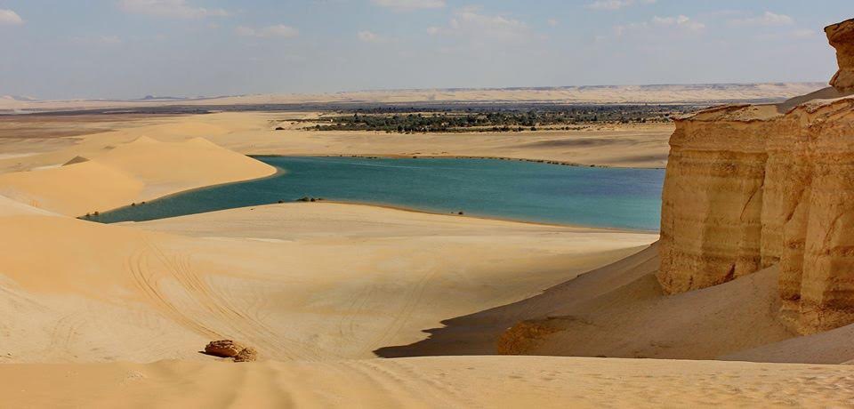 Day trip to Wadi Al Hitan and Fayoum Oasis from Sahel Hashesh — photo 10