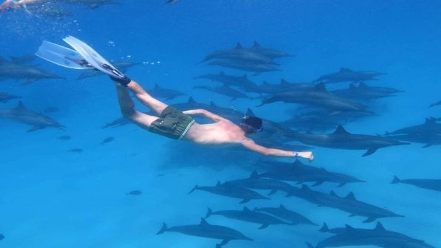 Dolphin house snorkeling trip from Sahel Hashesh — photo 3