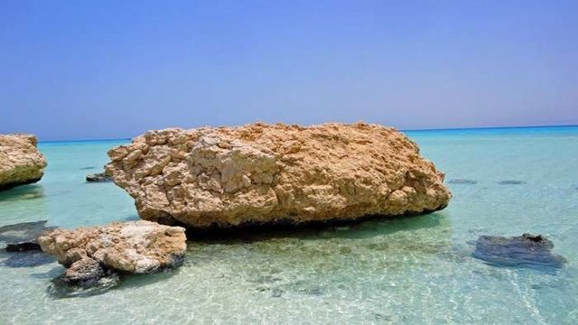 Half day snorkeling to sharm el luli — photo 3