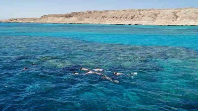 Paradise Island Snorkeling tour from Sahel Hashesh — photo 2