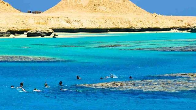 Paradise Island Snorkeling tour from Sahel Hashesh — photo 3