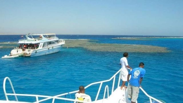 Private boat trip to Sataya dolphin Reef from Marsa Alam — photo 5