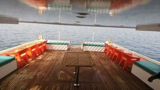 Private Boat Trip to the dolphin house from Hurghada — photo 5