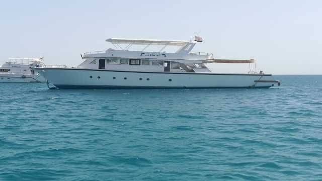 Private snorkeling boat Trip to dolphin house from Sahel Hashesh — photo 5