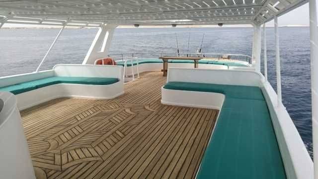 Private snorkeling boat Trip to dolphin house from Sahel Hashesh — photo 7