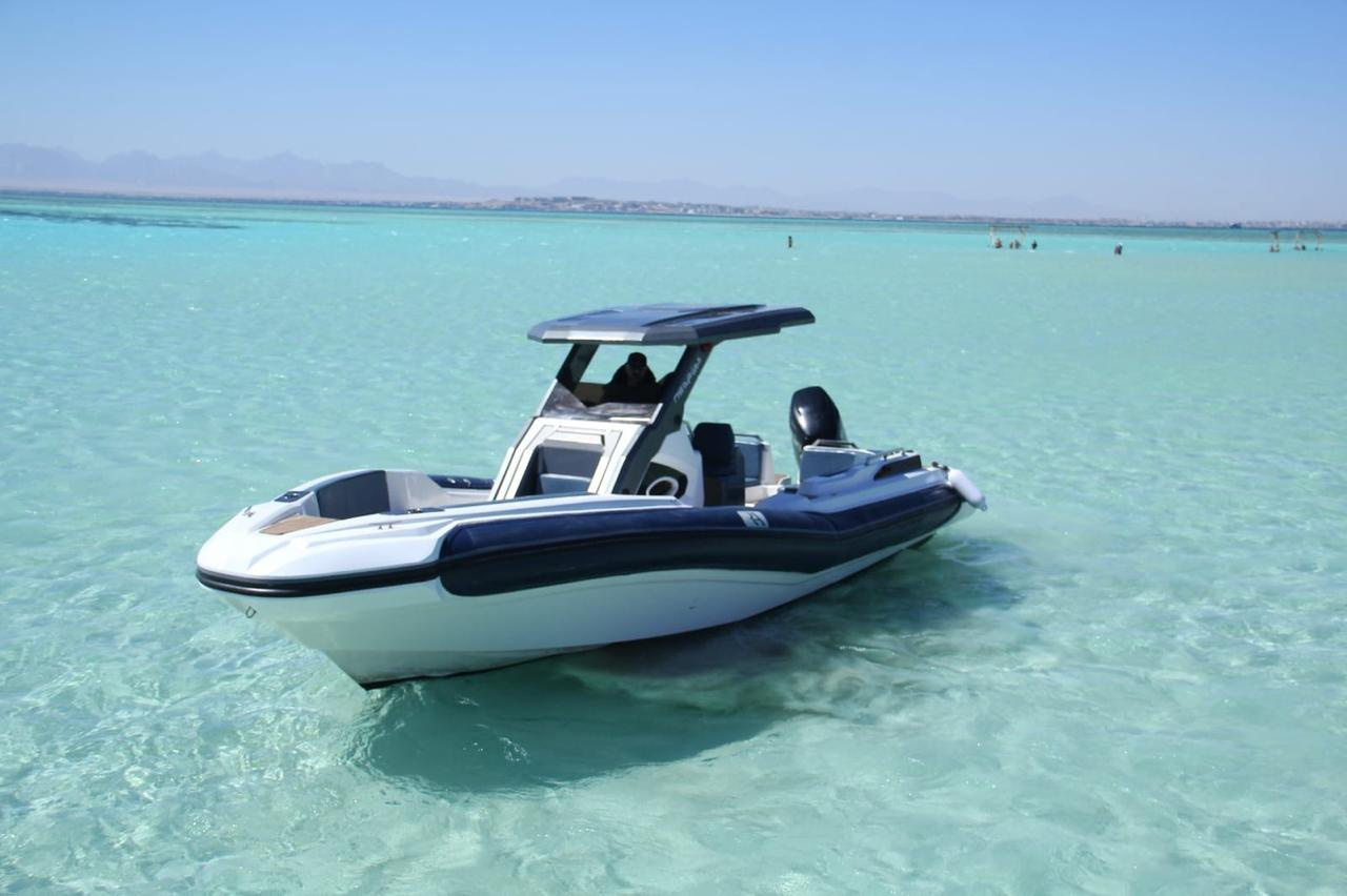 Private speedboat tour to the dolphin house from Hurghada — photo 4