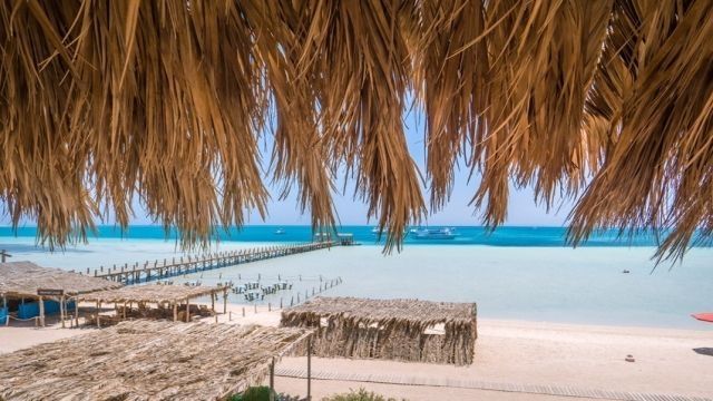 Private speedboat trip to dolphin house in Sahel Hashesh — photo 2