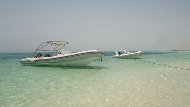 Private speedboat trip to dolphin house in Sahel Hashesh — photo 5