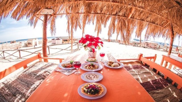 Private speedboat trip to Mahmya island from Sahel Hashesh — photo 8