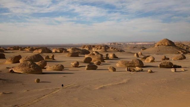 Private tour to Wadi el Hitan from Cairo — photo 7