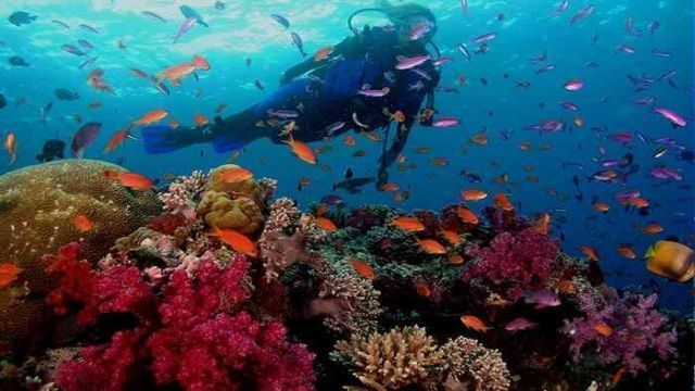 Scuba Diving Excursions from Sahl Hasheesh — photo 7