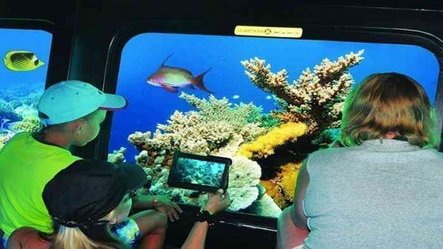 Semi submarine trip from Marsa alam
