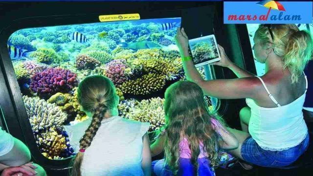 Semi submarine trip from Marsa alam — photo 2