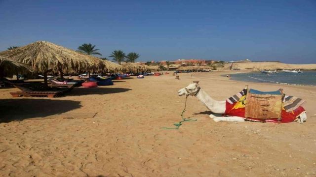 sharm el naga bay snorkeling trip from hurghada Egypt Red Sea