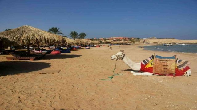 Sharm El naga bay snorkeling trip from Sahel Hashesh — photo 2