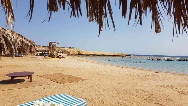 Sharm el Naga day snorkeling trip from Hurghada — photo 3