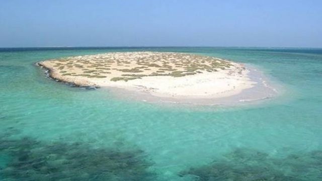 Snorkeling Trip at Hamata Islands From Marsa Alam — photo 3