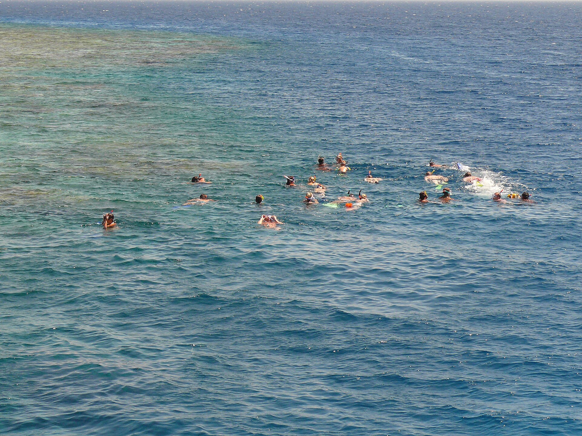 Snorkeling Trip At Sataya dolphin Reef from Marsa Alam