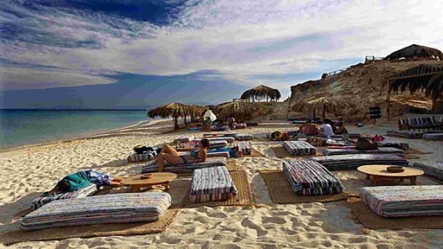 Snorkeling Trip to Mahmya Island from Sahel Hashesh — photo 3