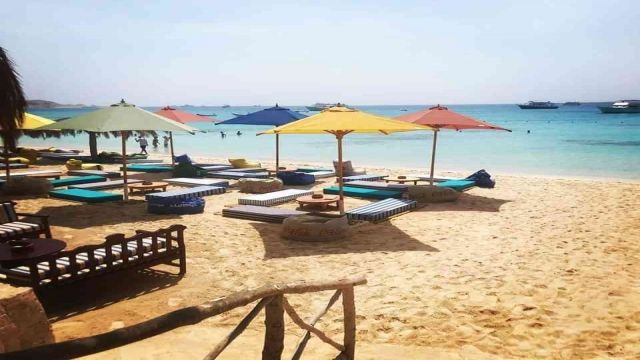Snorkeling Trip to Mahmya Island from Sahel Hashesh — photo 5