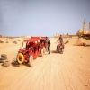 Super Safari Trip from Sahel Hashesh — photo 5