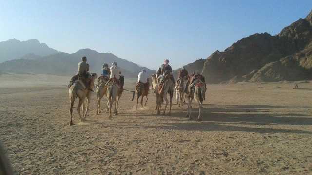 Super Safari Trip from Sahel Hashesh — photo 10