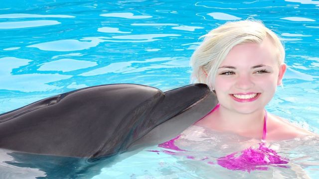 Swimming with dolphins Excursion from Hurghada