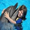 Swimming with dolphins Excursion from Sahel Hashesh — photo 3