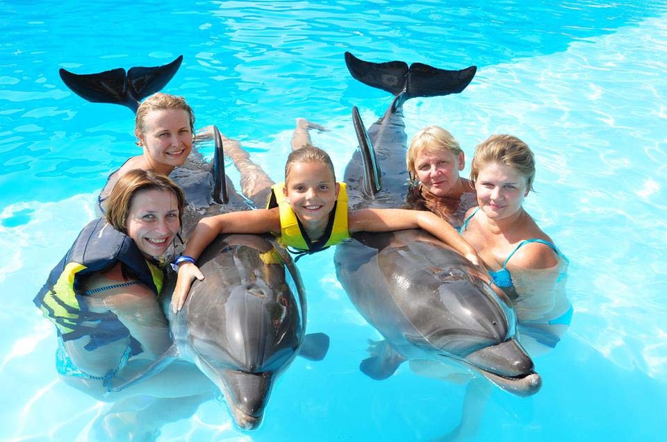 Swimming with dolphins Excursion from Sahel Hashesh — photo 4