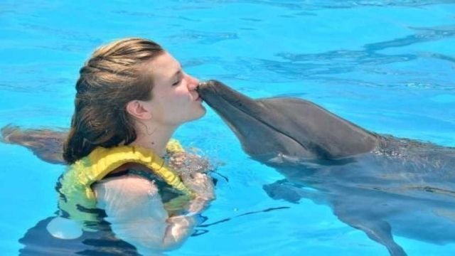 Swimming with dolphins Excursion from Sahel Hashesh — photo 5