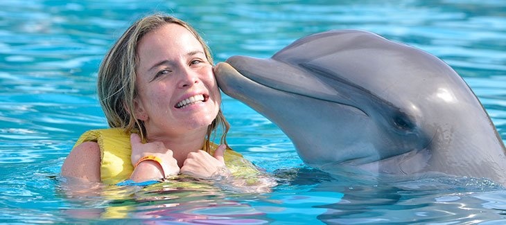 Swimming with dolphins Excursion from Sahel Hashesh — photo 7