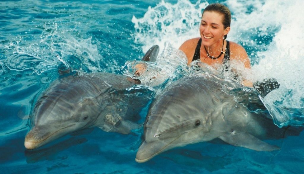 Swimming with dolphins Excursion from Sahel Hashesh — photo 8
